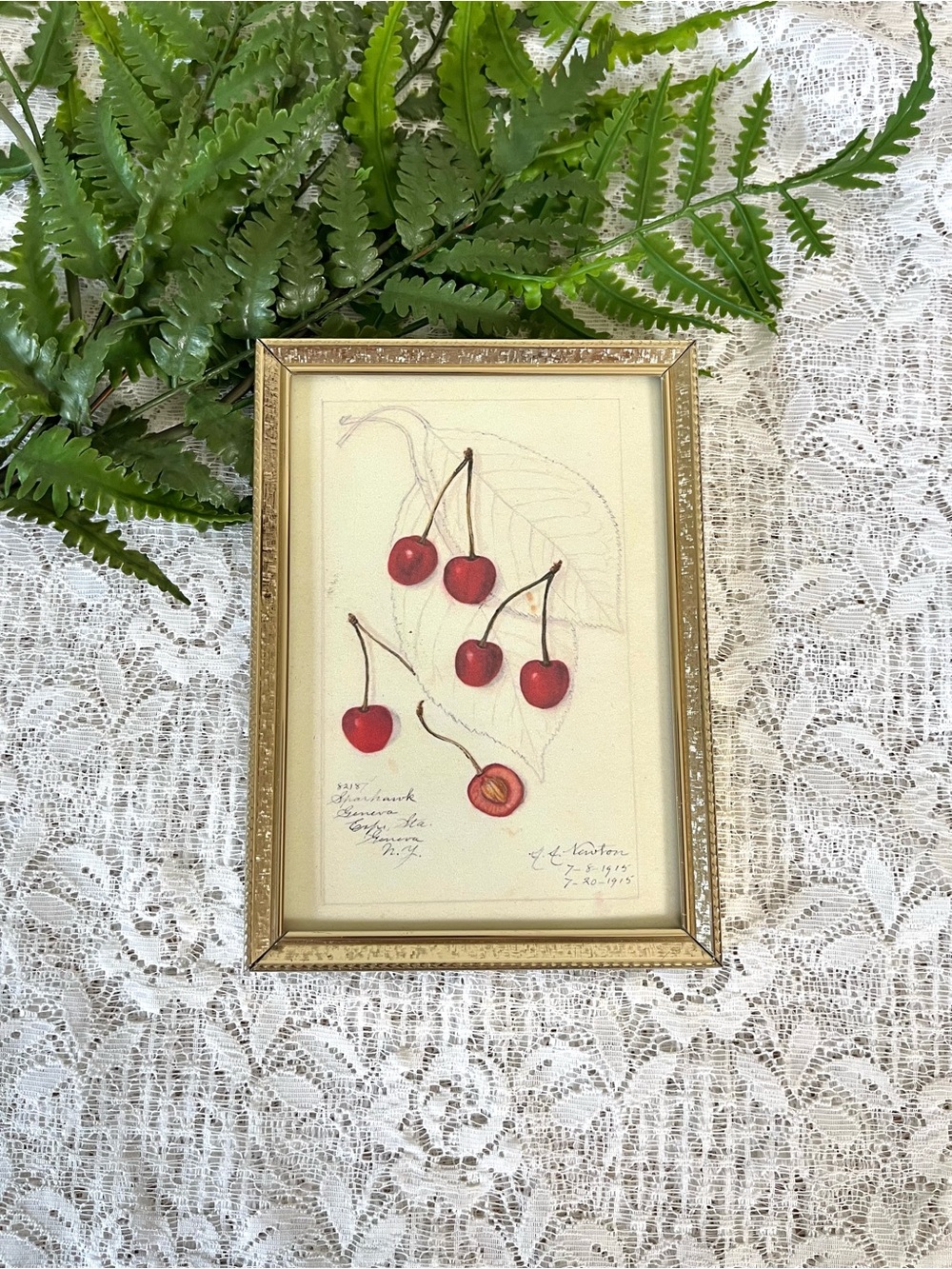Vintage Brass Framed Cherry Decor 5x7